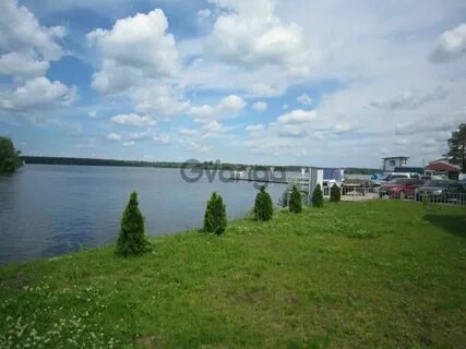 Зеленый бор конаково