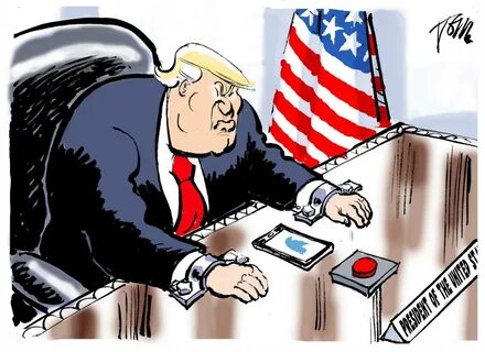 Покушение на трампа схема