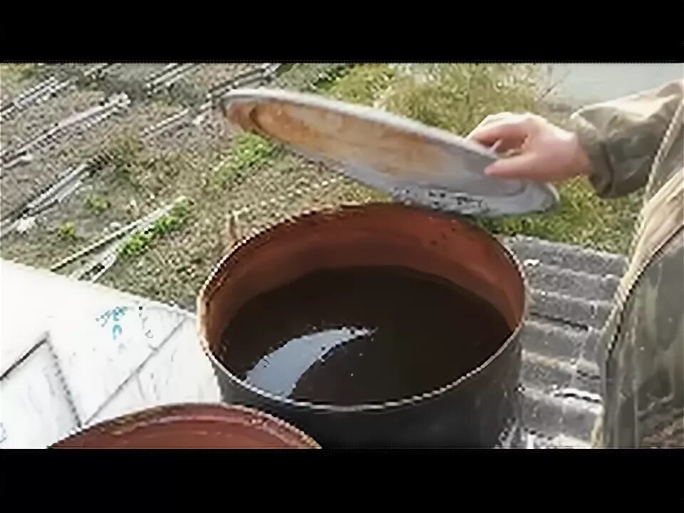 Цветет вода в бочке что делать. Вода зацвела в бочке. бочка с водой в теплице. вода в бочке цветет что делать. в бочке для полива зеленеет вода что делать.