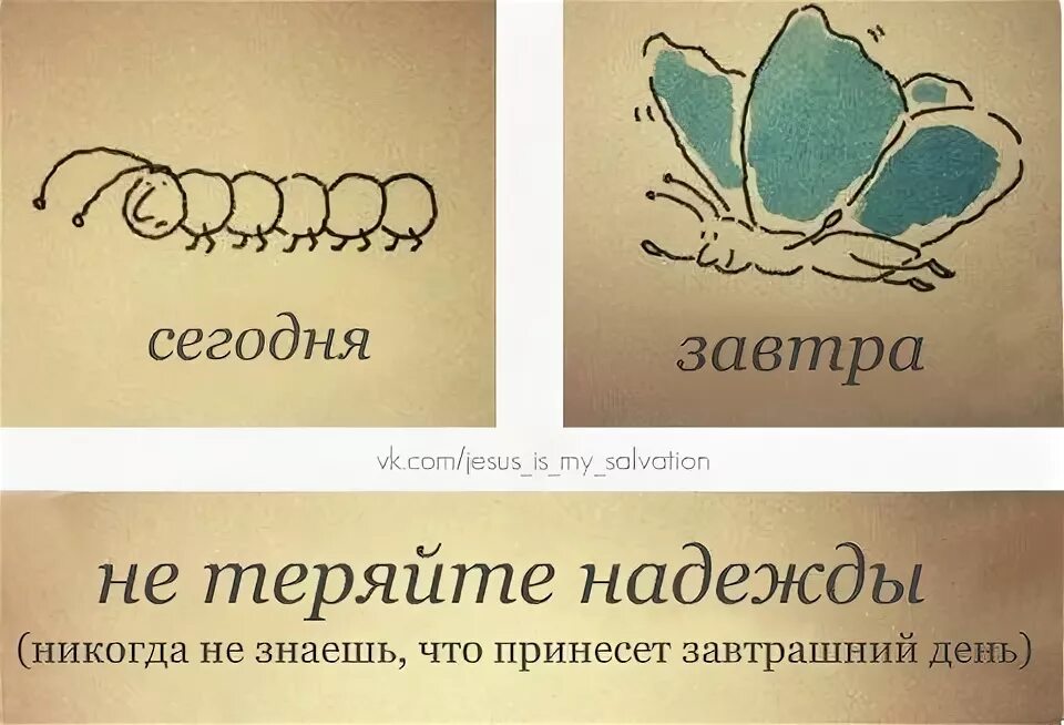 Не теряя надежды усовестить изменников. Главное не терять надежды. Никогда не теряйте надежды. Терять надежду. Не теряйте надежду открытки.