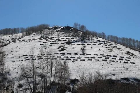 Восточная первомайском