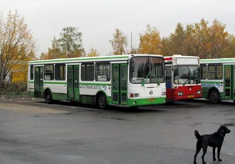 444 старая купавна