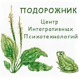 Как люди используют подорожник. Центр подорожник. центр подорожник на никулинской. подорожник в москве. подорожник лого.