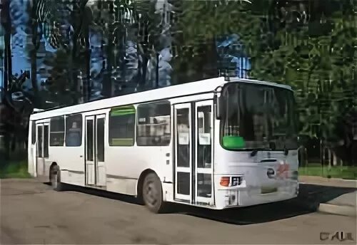 Автобус до станции новый петергоф. Автобус до станции новый петергоф