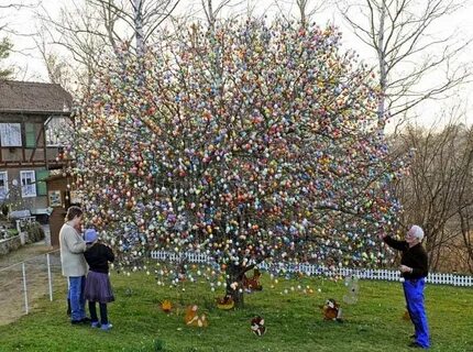 Trees tradition