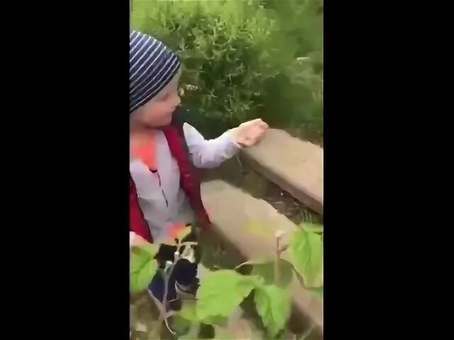 Спроси как у кошечки дела