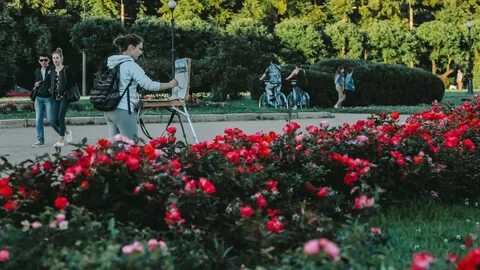 Парк запахов