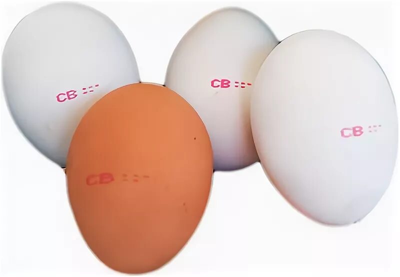 Категория яиц св. Яйца св. Яйцо куриное категории св. Маркировка яиц св. Яйцо св2.