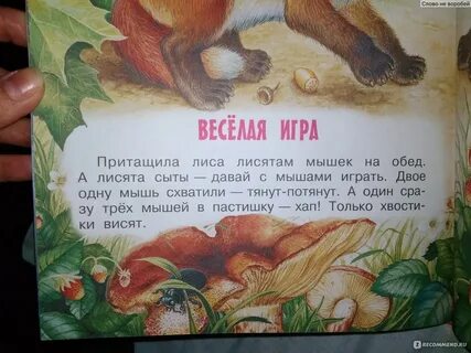 Рассказ про хвост