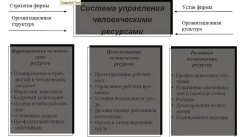 Организационные ресурсы управления