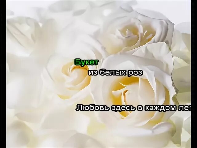 Букет из белых роз любовь здесь в каждом лепестке. Любовь здесь в каждом лепестке. Любовь из белых роз. Белые розы для Ирины. Белые розы любви песня