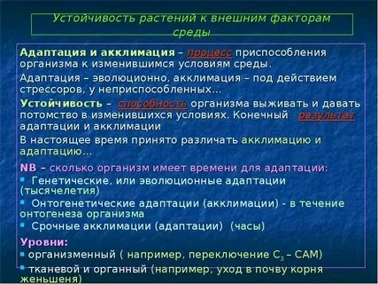 Устойчивая адаптация