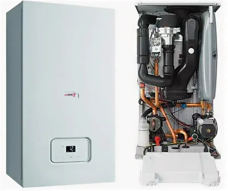 Котел протерм 24 одноконтурный. Котел газовый настенный protherm lynx  рысь 24. protherm рысь hk 11. protherm рысь нк11. газовый котел protherm lynx 11.