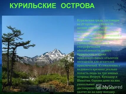 Проблема курильских островов кратко