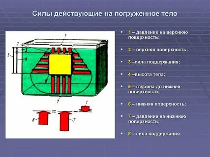Силы поддержания