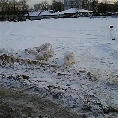 Кошачий пруд новогиреево почему так называется. Кошачий пруд новогиреево почему так называется