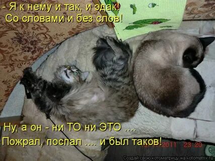 Васе подарили