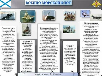 Роды военно морских войск