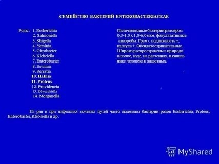 Семейства бактерий