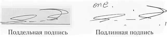 Подписавшее лицо