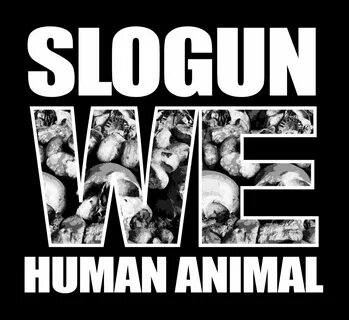 We us human