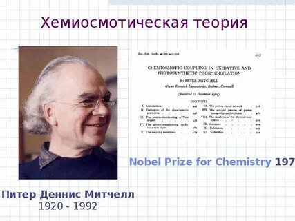 Теория спб