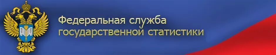 Федеральная служба государственной статистики. Федеральная служба гос статистики. ФСГС Федеральная служба государственной статистики. Федеральная служба государственной статистики логотип.