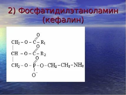Кефалин