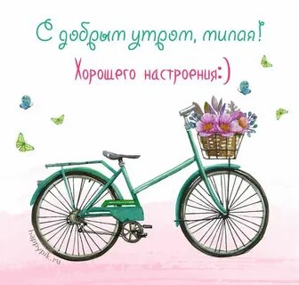 Утро на велосипеде картинки