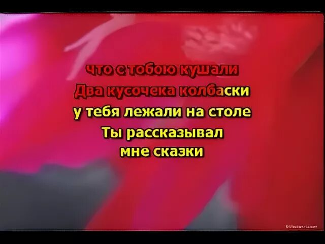 Песня колбаска на столе. Два кусочека колбаски слова. Два кусочека колбаски текст. Слова 2 кусочка кробаски. Текст песни два кусочека колбаски лежали на столе.