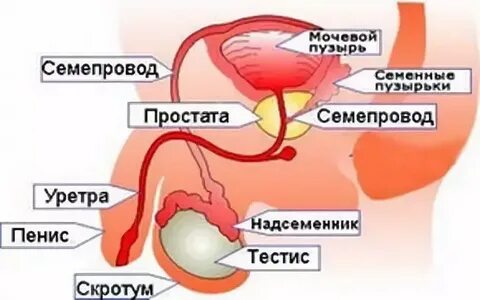 Медицинада жалаңаш жігіт