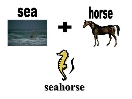 Seahorse перевод на русский