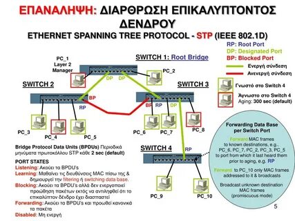 Root port