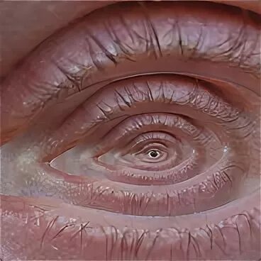 Check Out These Stunning Close-Up Photos Of The Human Eye Eye close up, Human ey