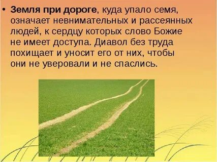 Лет двести тому назад ветер сеятель принес