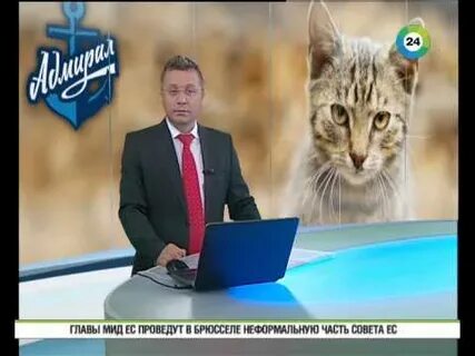 Жесть доброй воли ютуб