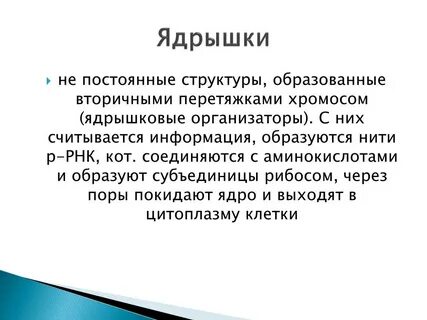 Постоянная структура