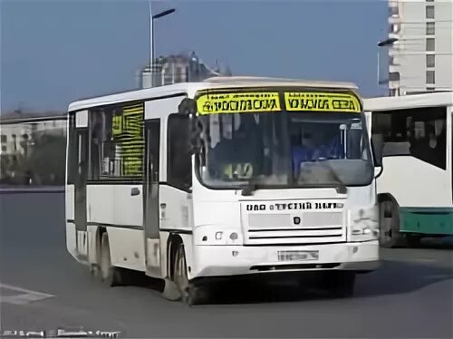 Купчино ломоносов