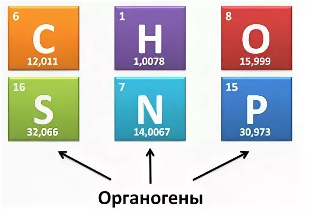 Перечислите органогенные элементы. Органогены химические элементы. понятие об органогенах.. органогены список элементы.