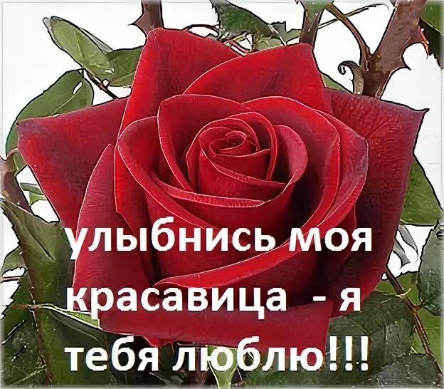 Улыбнись родная ты одна такая. Улыбнись любимая. Любимая красавица. Моя красавица. Улыбнись красавица.