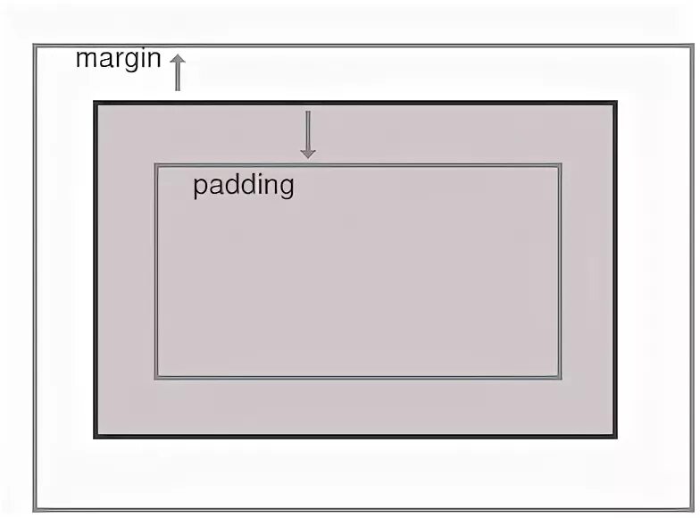 Margin padding. Разница между margin и padding CSS. Margin padding разница. Html margin и padding. Content margins