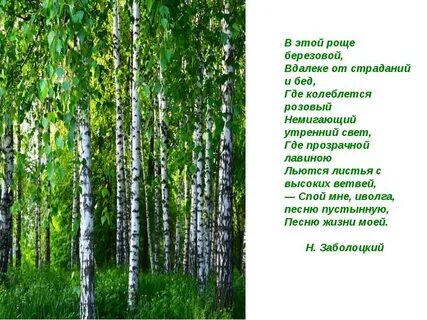 Песня рощи березовой стать