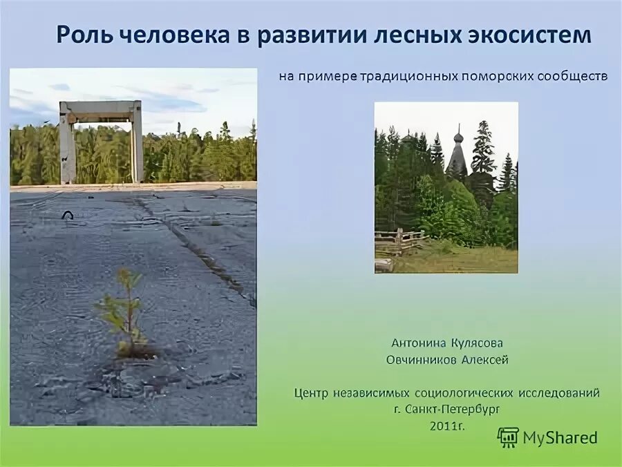 Роль человека в городе. Роль человека в городе