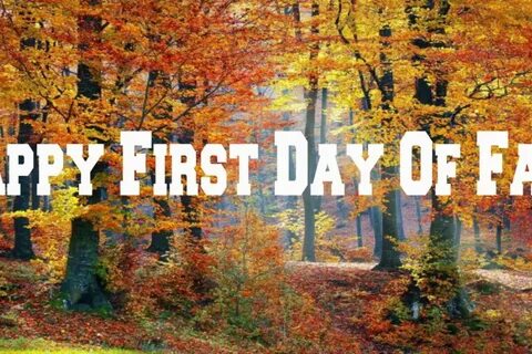 Fall am