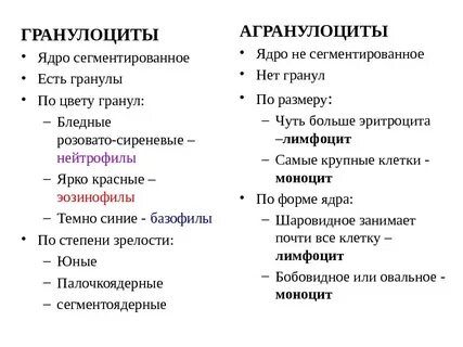 Отличия лейкоцитов