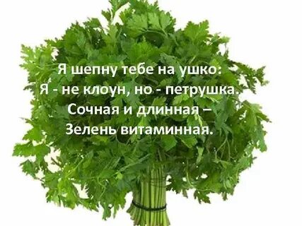 Зелень витамины