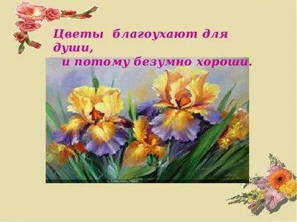 Увлеклась цветами