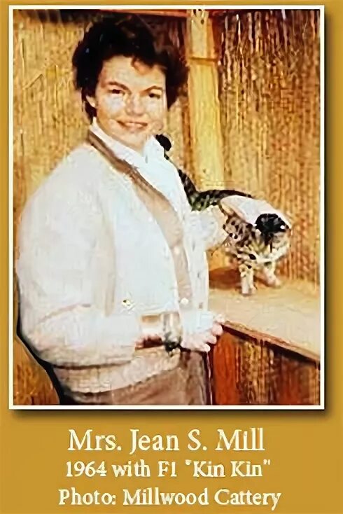джин милл бенгалы. джейн миллер создатель бенгальской породы. Ginmill рязань. джейн милл. захаров джин милл.