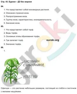 Биология 7 класс страница 31 вопросы