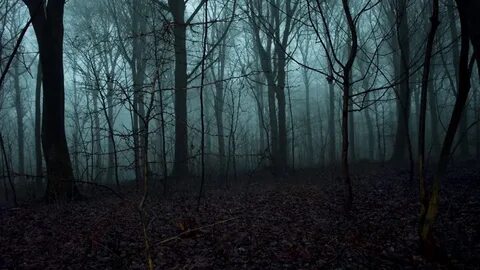 Scary night 2